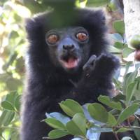 Photo de voyageur Madagascar en profondeur #3