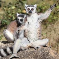 Photo de voyageur Madagascar en profondeur #2