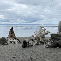 Vancouver Island Explorer traveler photo #3