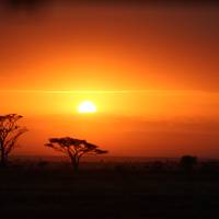 Serengeti Trail (8 destinations) traveler photo #1