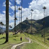 Café Colombia: foto van de reiziger #2