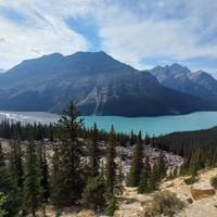 5-Day Canadian Rockies Adventure: Banff, Jasper & Yoho National Parks Tour traveler photo #3