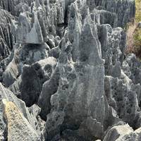 Tsingy of Bemaraha, Kirindy & Baobab Safari Reise-Foto #3
