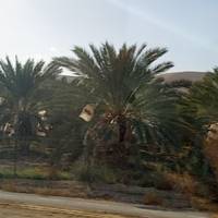 Heritage of the Holyland Tour - 8 days traveler photo #2