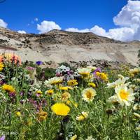 Upper Mustang Photography Tour 12 Days 2024/2025/2026 traveler photo #1