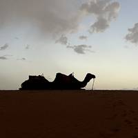 Photo de voyageur Circuit de 7 jours au Maroc depuis Casablanca #1