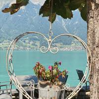 Photo de voyageur Miracle suisse #2