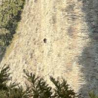 Yellowstone / Grand Teton 4 Day / 3 Night Wildlife Adventure traveler photo #1