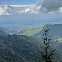 3 Day Smoky Mountains Hiking Experience traveler photo #3