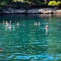 Photo de voyageur Croisière à vélo Dalmatie Sud Traditionnelle Ensuite #3