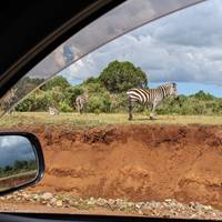 2 Days Over Night Mount Kenya Climbing- Sirimon Route traveler photo #3