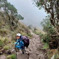 Photo de voyageur Journeys : Machu Picchu et l