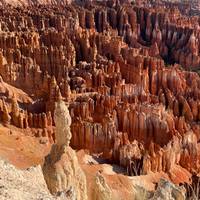 Utahs Mighty Five ab Vegas 5 Tage Reise-Foto #2