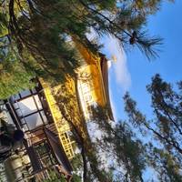 Japan – een budget-rondreis voor kleine groepen – 7 dagen: foto van de reiziger #2