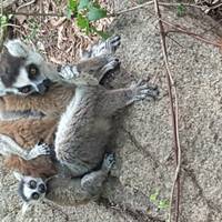 Madagascar Adventure traveler photo #1