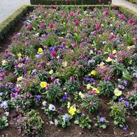 From Copenhagen to Helsinki traveler photo #3