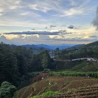 Photo de voyageur La touche de profondeur du Sri Lanka #1