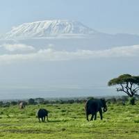 Photo de voyageur Circuit abordable de 6 jours au Kenya (avec nuit libre à l