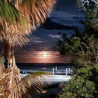 Photo de voyageur La majeure partie de la côte : De Sydney à Cairns #1