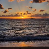Photo de voyageur La majeure partie de la côte : De Sydney à Cairns #3