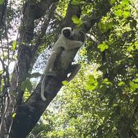 Baobab Safari Reise-Foto #2