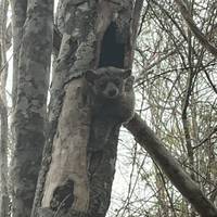 Baobab Safari Reise-Foto #3