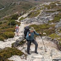 Trek the Cradle Mountain Overland Track traveler photo #2