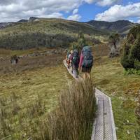 Trek the Cradle Mountain Overland Track traveler photo #3