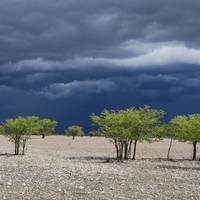 Photo de voyageur Sossusvlei, Swakopmund et Etosha (camping) - 7 jours #1