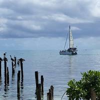 Tierra de Belice y Tikal: foto del viajero #1