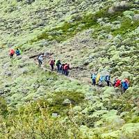 Patagonia épica: foto del viajero #3