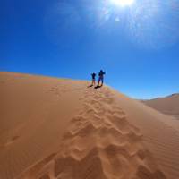 Etosha Nationalpark, Swakopmund & Sossusvlei (Camping) - 8 Tage Reise-Foto #1