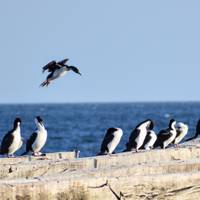 Patagonia: At The End Of The World (9Days/8Nights) traveler photo #2