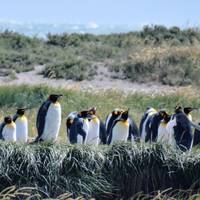 Patagonia: At The End Of The World (9Days/8Nights) traveler photo #1