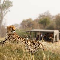 6 Days - Mid-Range Manyara, Serengeti, Crater, & Tarangire traveler photo #3