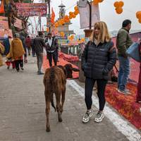 India: Colores de la India y yoga junto al Ganges con guía privado en cada ciudad: foto del viajero #3