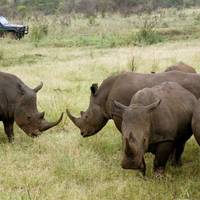 Het Beste Van Kenia & Tanzania – een luxueuze safari – 16 dagen: foto van de reiziger #1