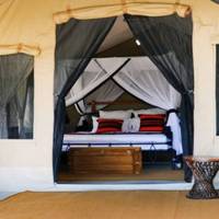 Het Beste Van Kenia & Tanzania – een luxueuze safari – 16 dagen: foto van de reiziger #3