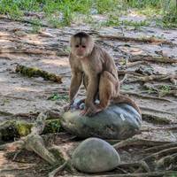 Photo de voyageur La Selva Amazon Lodge 4 jours #3