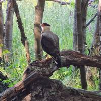 Photo de voyageur La Patagonie épique #2