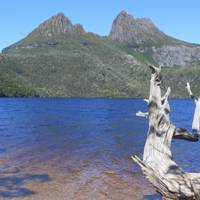 Photo de voyageur The BIG 3 Tasmania - De Launceston à Hobart #2