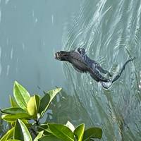 Photo de voyageur Les Galápagos, un archipel enchanté - 8 jours #2
