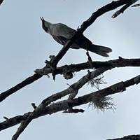Photo de voyageur Les Galápagos, un archipel enchanté - 8 jours #3