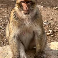 4-daagse woestijntocht van Fes naar Marrakech: foto van de reiziger #1