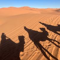 4-daagse woestijntocht van Fes naar Marrakech: foto van de reiziger #3