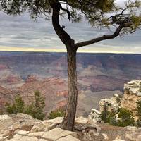 Nationalparks im Winter Reise-Foto #3