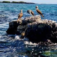 Galápagos Multisport mit Quito Reise-Foto #2