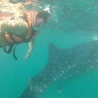 16 Dagen Filippijnen Avontuur met El Nido naar Coron Eiland expeditie (Onafhankelijke rondreis): foto van de reiziger #3
