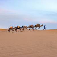 Rondreis door Marokko - vanuit Casablanca - 9 dagen: foto van de reiziger #2