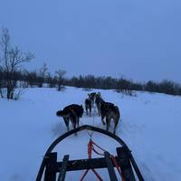 Photo de voyageur Laponie suédoise : Les aurores boréales #1